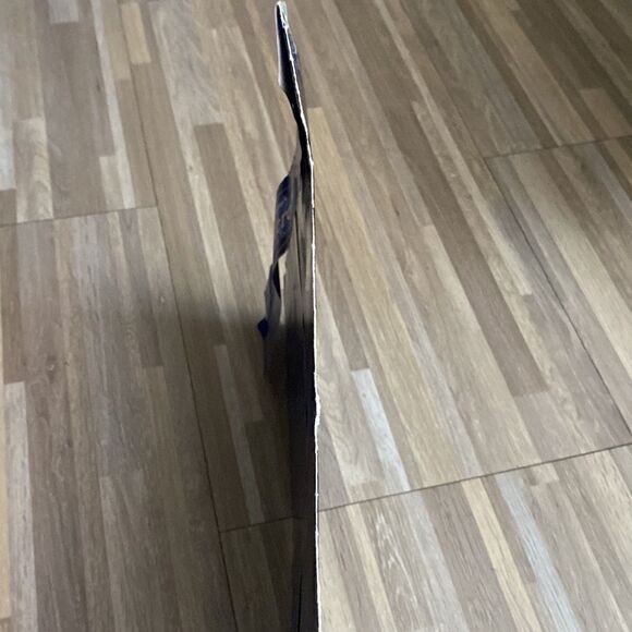 Disney Cinderella Lithograph 2 Disc Special Edition and large Disney princess - Picture 7 of 11